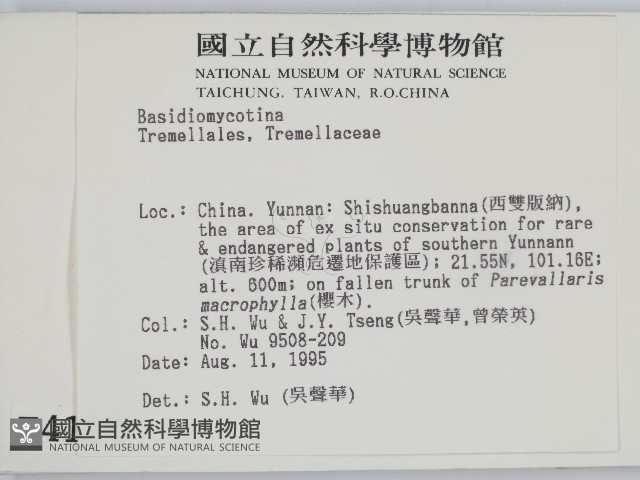 登錄號:F0004120藏品圖，第2張