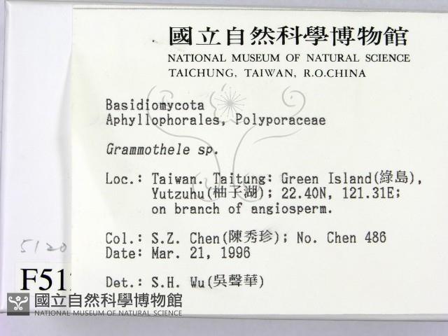 登錄號:F0005120藏品圖，第2張