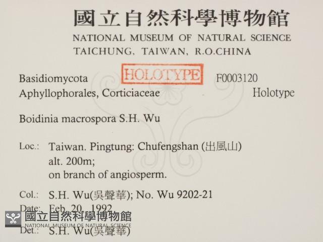 登錄號:F0003120藏品圖，第2張