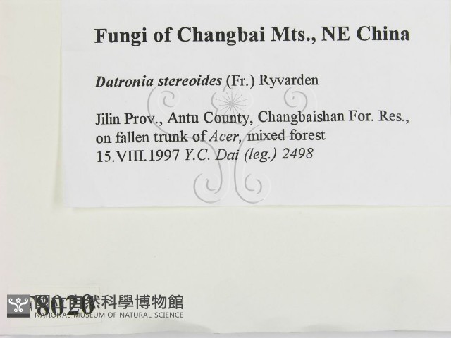 登錄號:F0008020藏品圖，第2張