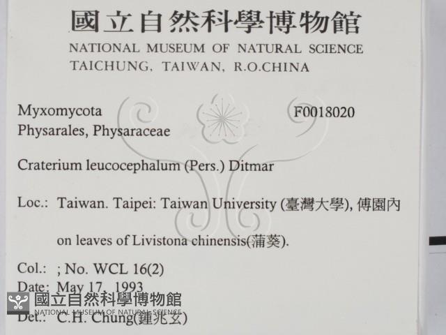 登錄號:F0018020藏品圖，第2張