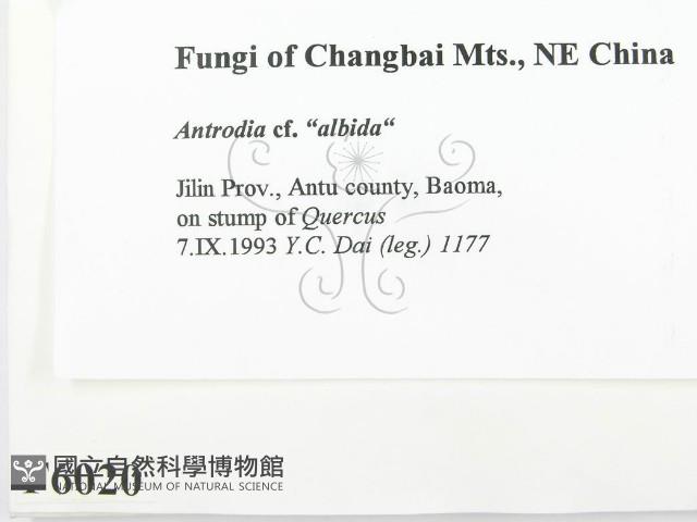 登錄號:F0006020藏品圖，第2張