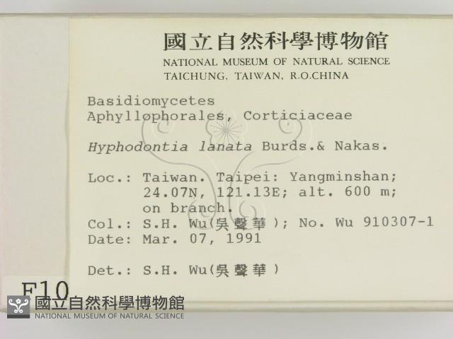 登錄號:F0001020藏品圖，第2張