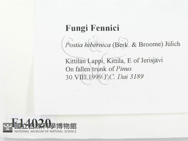 登錄號:F0014020藏品圖，第2張