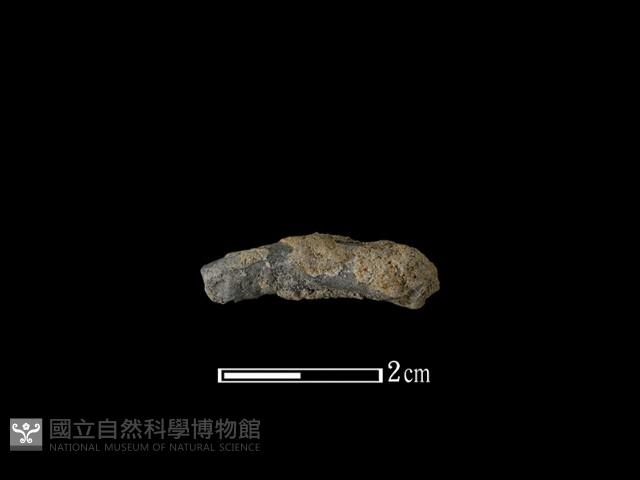 陶環藏品圖，第1張