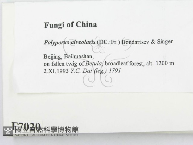 登錄號:F0007020藏品圖，第2張