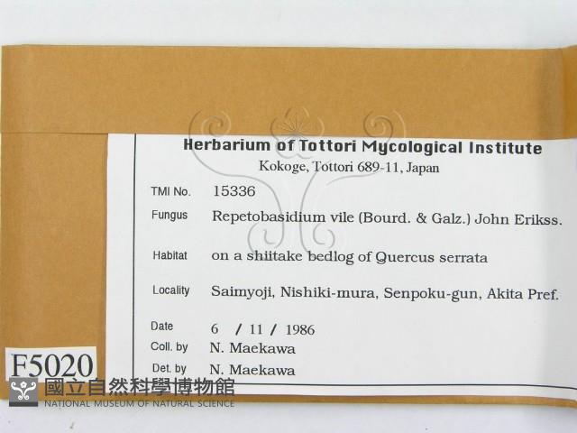 登錄號:F0005020藏品圖，第2張