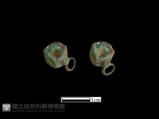 鈕子藏品圖，第1張