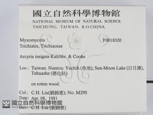登錄號:F0018320藏品圖，第2張