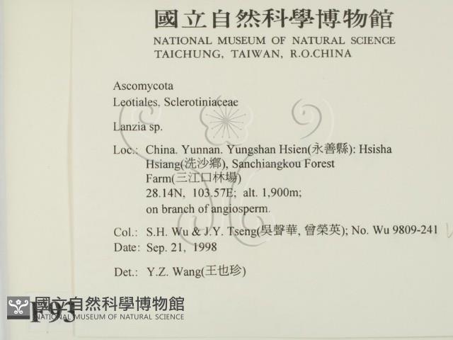 登錄號:F0009320藏品圖，第2張