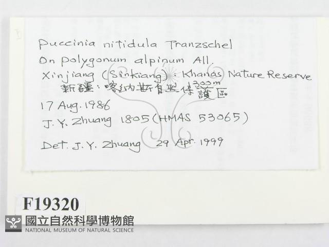登錄號:F0019320藏品圖，第2張