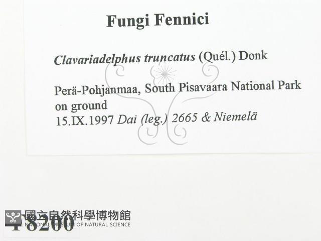 登錄號:F0008200藏品圖，第2張