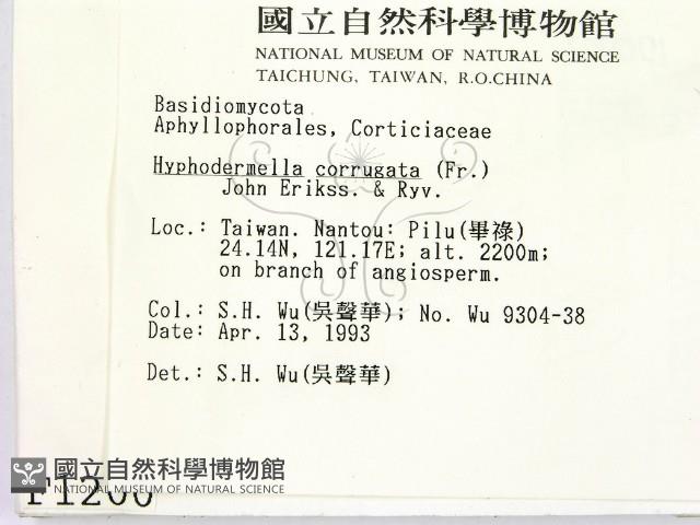 登錄號:F0001200藏品圖，第2張