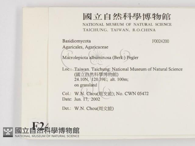 登錄號:F0024200藏品圖，第2張