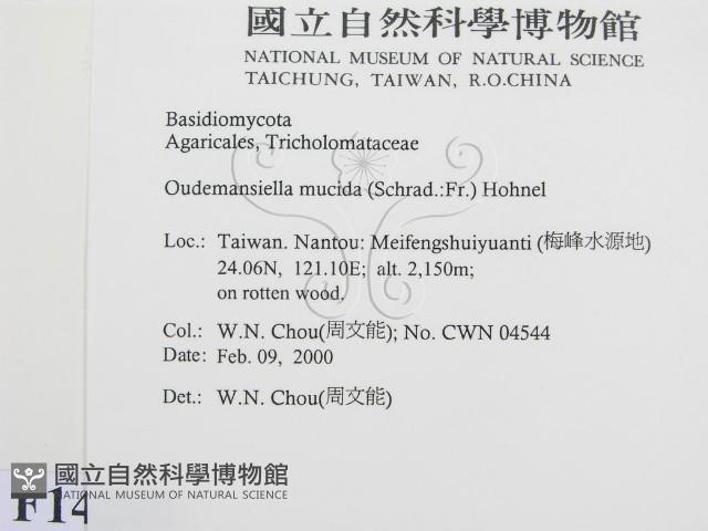 登錄號:F0014200藏品圖，第2張