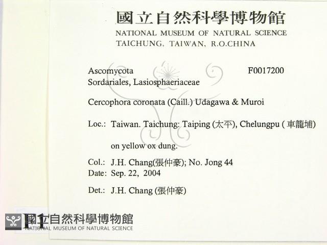 登錄號:F0017200藏品圖，第2張