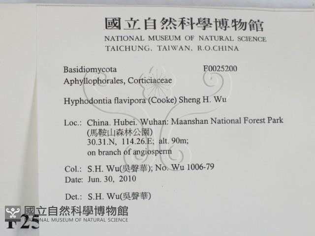 登錄號:F0025200藏品圖，第2張