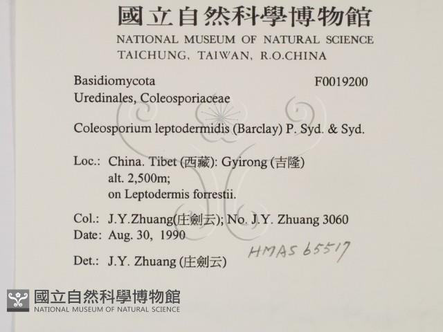 登錄號:F0019200藏品圖，第2張