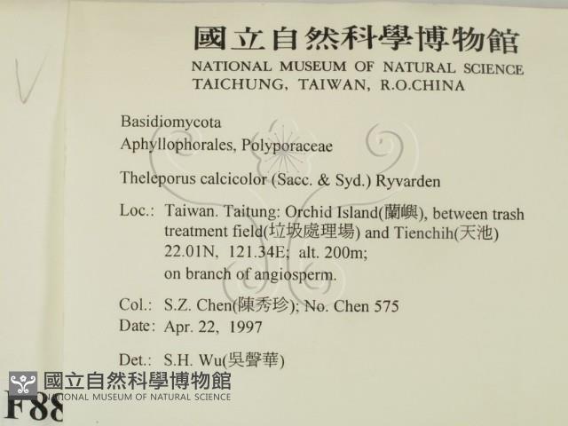 登錄號:F0008800藏品圖，第2張