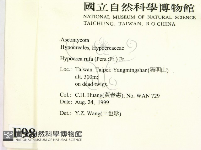 登錄號:F0009800藏品圖，第2張