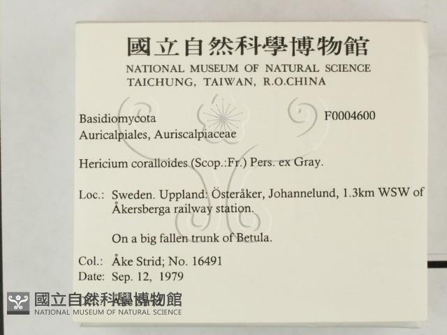 登錄號:F0004600藏品圖，第2張