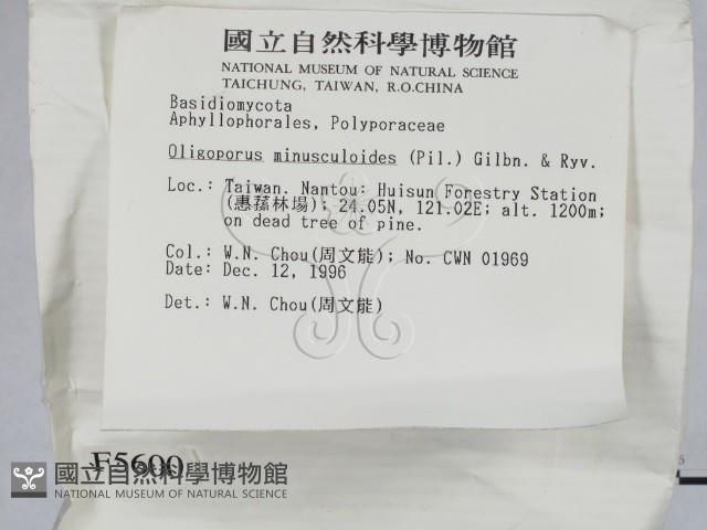 登錄號:F0005600藏品圖，第2張