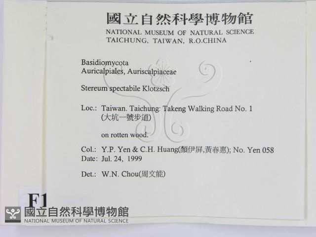 登錄號:F0015600藏品圖，第2張