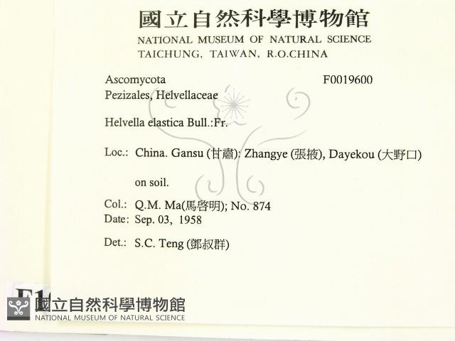 登錄號:F0019600藏品圖，第2張
