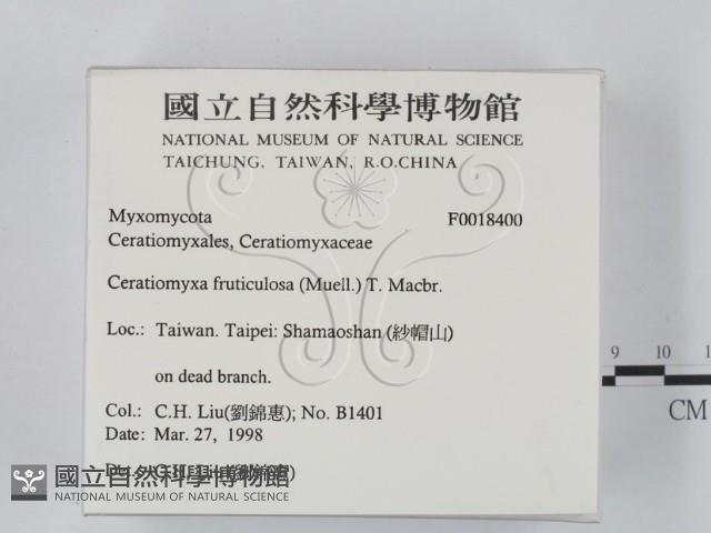 登錄號:F0018400藏品圖，第2張