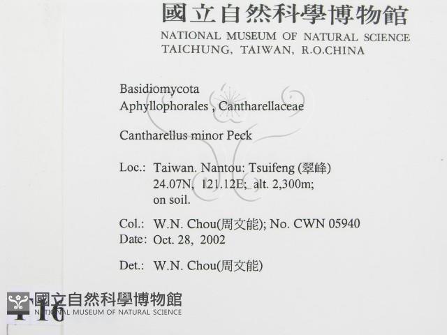 登錄號:F0016400藏品圖，第2張