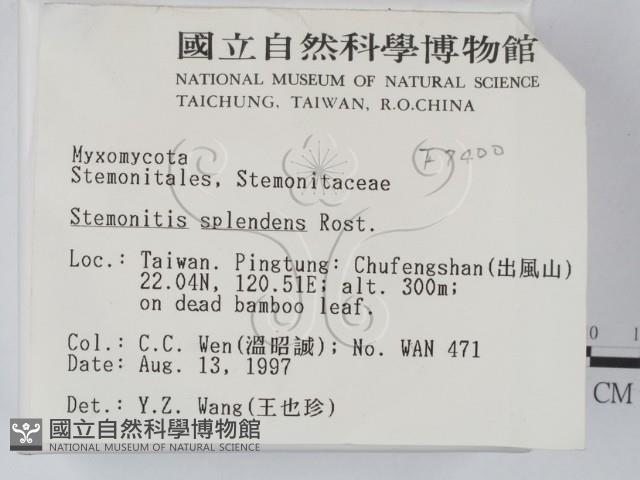 登錄號:F0007400藏品圖，第2張