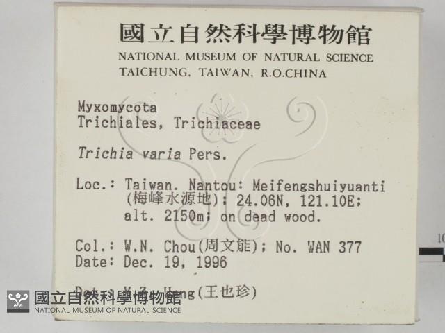 登錄號:F0005400藏品圖，第2張