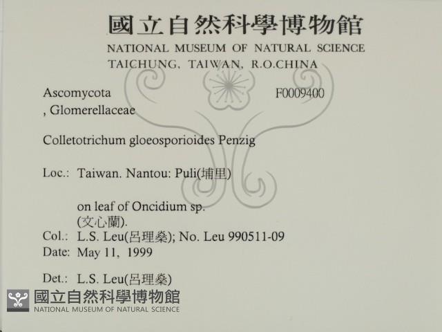 登錄號:F0009400藏品圖，第2張