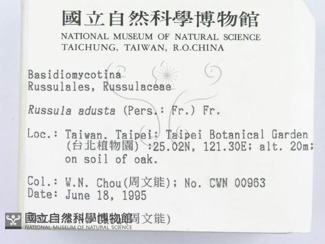 登錄號:F0003400藏品圖，第2張