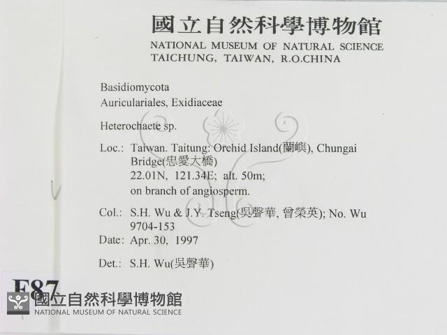 刺皮菌屬藏品圖，第2張