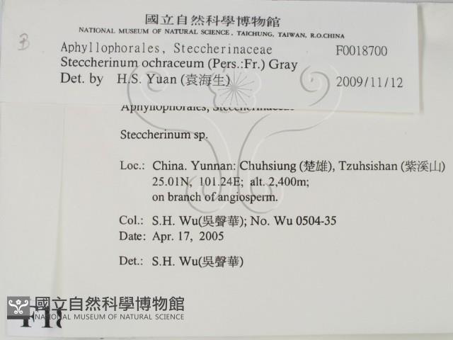 登錄號:F0018700藏品圖，第2張