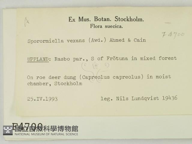 登錄號:F0004700藏品圖，第2張