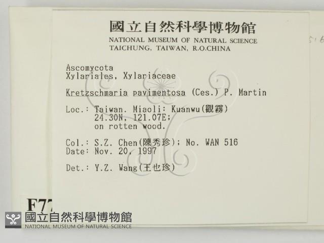 登錄號:F0007700藏品圖，第2張