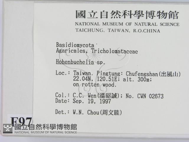 登錄號:F0009700藏品圖，第2張