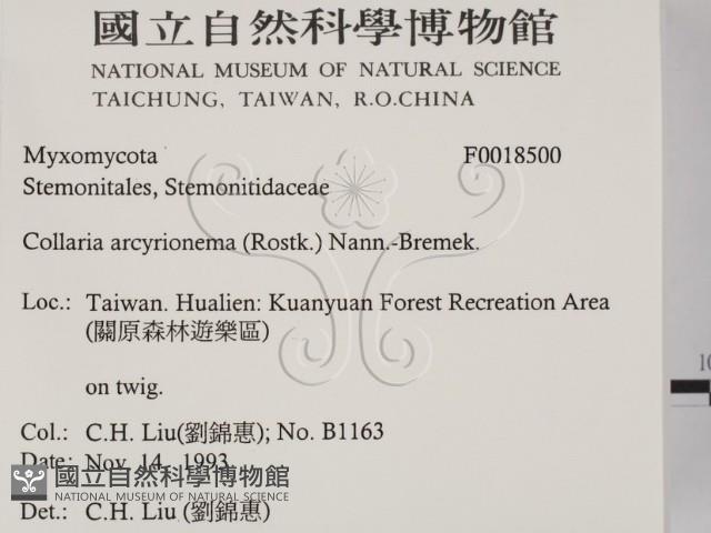 登錄號:F0018500藏品圖，第2張