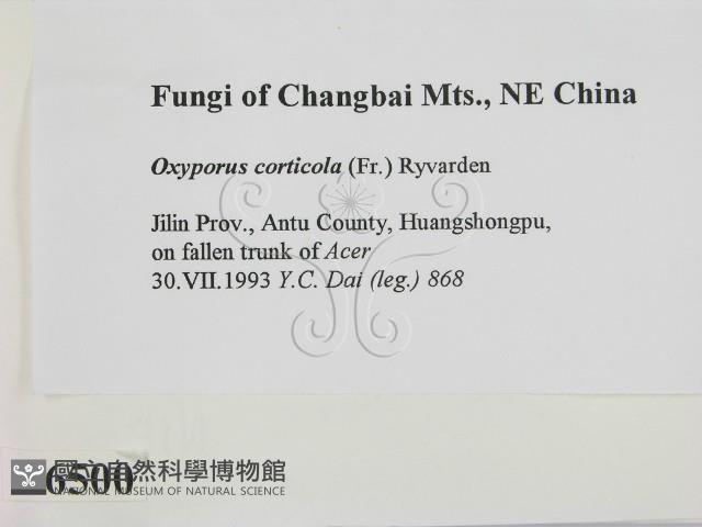 登錄號:F0006500藏品圖，第2張