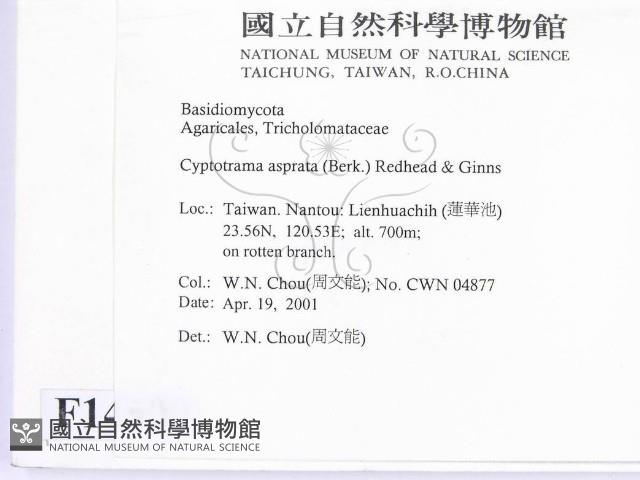 登錄號:F0014500藏品圖，第2張