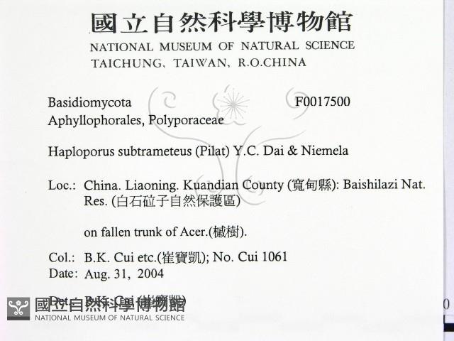 登錄號:F0017500藏品圖，第2張