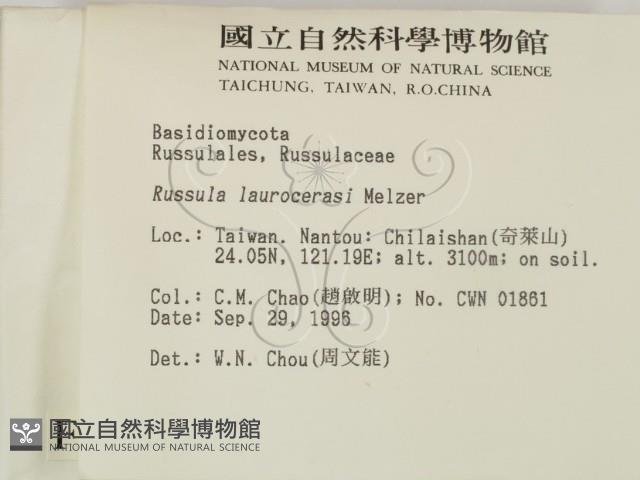 登錄號:F0005500藏品圖，第2張
