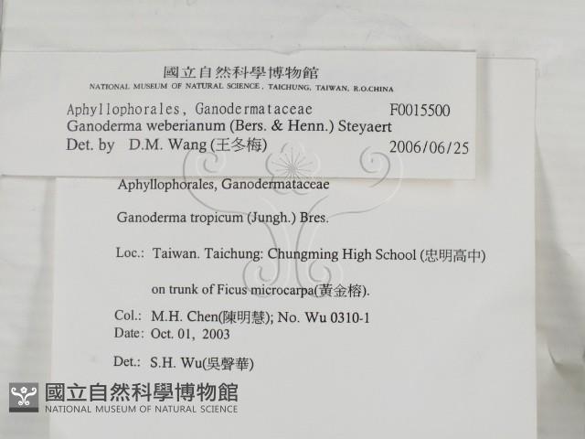 登錄號:F0015500藏品圖，第2張
