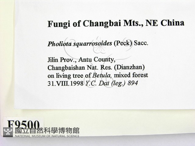 登錄號:F0009500藏品圖，第2張