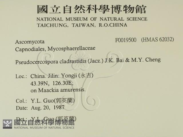 館號:F0019500藏品圖，第2張