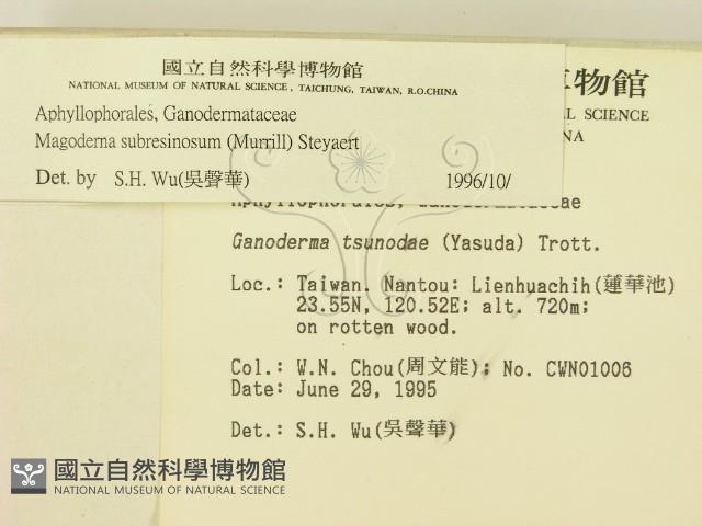 登錄號:F0003500藏品圖，第2張