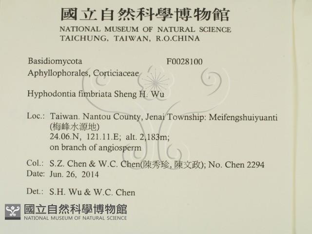 登錄號:F0028100藏品圖，第2張