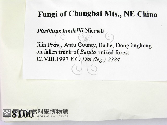 登錄號:F0008100藏品圖，第2張